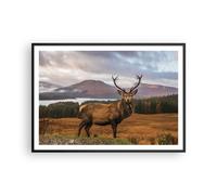Poster 100x70cm Cervi Prato Montagne Stampe Immagini Quadri Moderni Murale