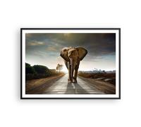 Poster 100x70cm Elefante Strada Campagna Stampe Immagini Quadri Moderni Murale