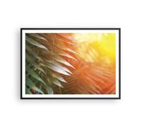 Poster 100x70cm Esotico Foglie Alba Stampe Immagini Quadri Moderni Murale