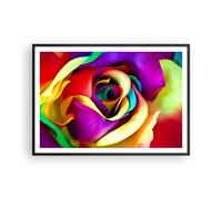Poster 100x70cm fiore colore rosa Stampe Immagini Quadri Moderni Murale