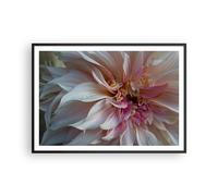 Poster 100x70cm Fiore Dalia Pianta Stampe Immagini Quadri Moderni Murale