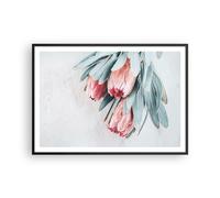 Poster 100x70cm Fiore eucalipto australiano Stampe Immagini Quadri Moderni