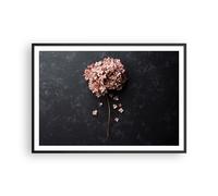 Poster 100x70cm Fiore Ortensia Natura Stampe Immagini Quadri Moderni Murale