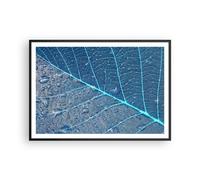 Poster 100x70cm Foglia Pianta Natura Stampe Immagini Quadri Moderni Murale