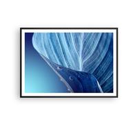 Poster 100x70cm Foglia Pianta Natura Stampe Immagini Quadri Moderni Murale