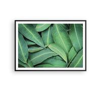 Poster 100x70cm Foglie Eucalipto Natura Stampe Immagini Quadri Moderni Murale