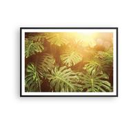 Poster 100x70cm Foglie Monstera Luce Stampe Immagini Quadri Moderni Murale