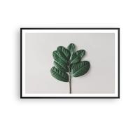Poster 100x70cm Foglie piante botanica Stampe Immagini Quadri Moderni Murale
