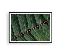 Poster 100x70cm Gocce acqua foglie Stampe Immagini Quadri Moderni Murale