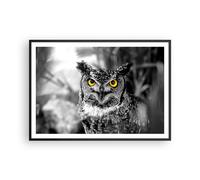 Poster 100x70cm Gufo uccello natura Stampe Immagini Quadri Moderni Murale