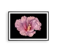 Poster 100x70cm Ibisco Fiore Rosa Stampe Immagini Quadri Moderni Murale