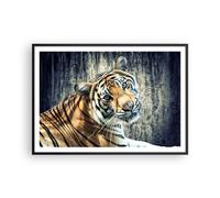 Poster 100x70cm India pietra tigre selvaggio Stampe Immagini Quadri Moderni