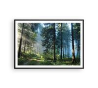 Poster 100x70cm La foresta l'alba il sole Stampe Immagini Quadri Moderni Murale