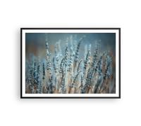 Poster 100x70cm Lavanda Lama Fiore Stampe Immagini Quadri Moderni Murale