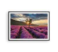 Poster 100x70cm lavanda montagne campo Stampe Immagini Quadri Moderni Murale