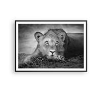 Poster 100x70cm Leone asiatico ritratto Stampe Immagini Quadri Moderni Murale