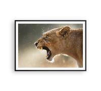 Poster 100x70cm Leone Leonessa Zanne Stampe Immagini Quadri Moderni Murale