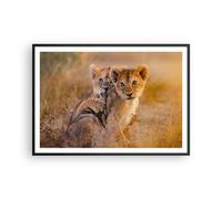 Poster 100x70cm leone natura animale Stampe Immagini Quadri Moderni Murale