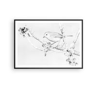 Poster 100x70cm Luminoso Uccello Natura Stampe Immagini Quadri Moderni Murale