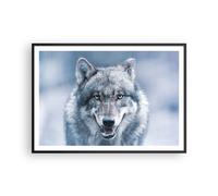 Poster 100x70cm Lupo predatore natura selvaggia Stampe Immagini Quadri Moderni
