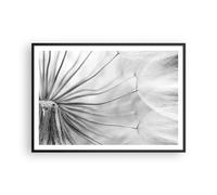 Poster 100x70cm Minimalismo Delicato Fiore Stampe Immagini Quadri Moderni Murale