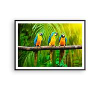 Poster 100x70cm Pappagalli Collor Natura uccelli Stampe Immagini Quadri Moderni