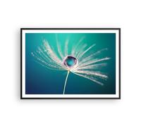Poster 100x70cm pianta natura Stampe Immagini Quadri Moderni Murale