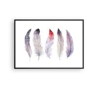 Poster 100x70cm Piuma Animale Uccello composizione Stampe Quadri Moderni