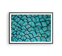 Poster 100x70cm Piume Animali Pavone Stampe Immagini Quadri Moderni Murale