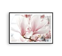 Poster 100x70cm Ramoscello Magnolia Fiore Stampe Immagini Quadri Moderni Murale
