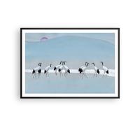 Poster 100x70cm Uccelli gru natura Stampe Immagini Quadri Moderni Murale