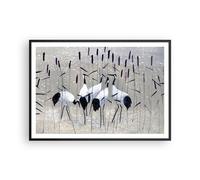 Poster da Parete Cornice Nera 100x70cm uccello natura acqua Decorativi Stampa da Parete Decorazione Murale Wall Art Quadri Moderni Soggiorno Camera da Letto Cucina Grafica Immagini - P2BAA100x70-3687