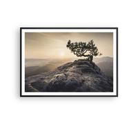 Poster 100x70cm Vecchio Pino Montagne Stampe Immagini Quadri Moderni Murale