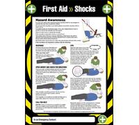 Poster 1ST Aiuto Ammortizzatori Laminato - 55905