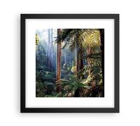 Poster 30x30cm Alba alberi foresta Stampe Immagini Quadri Moderni Murale