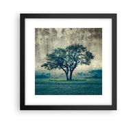 Poster 30x30cm albero natura campo Stampe Immagini Quadri Moderni Murale