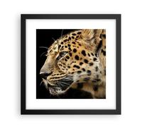 Poster 30x30cm Animali leopardo gatto selvatico animali selvatici Stampe Quadri