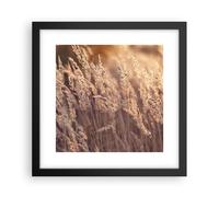 Poster 30x30cm Boho Spighe Di Grano Campo Stampe Immagini Quadri Moderni Murale