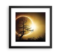 Poster 30x30cm Eclipse il sole l'albero Stampe Immagini Quadri Moderni Murale
