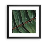 Poster 30x30cm Gocce acqua foglie Stampe Immagini Quadri Moderni Murale