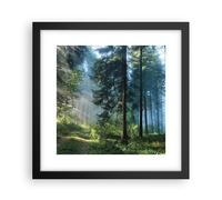Poster 30x30cm La foresta l'alba il sole Stampe Immagini Quadri Moderni Murale