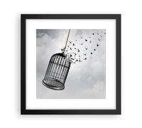 Poster 30x30cm Libertà gabbia uccelli Stampe Immagini Quadri Moderni Murale