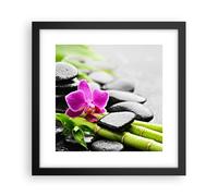 Poster 30x30cm Pianta pietre bambù spa Stampe Immagini Quadri Moderni Murale
