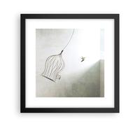 Poster 30x30cm Volo uccello gabbia Stampe Immagini Quadri Moderni Murale