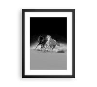Poster 30x40cm Andaluso Cavalli Galoppo Stampe Immagini Quadri Moderni Murale