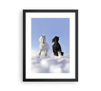 Poster 30x40cm Animali bellezza concorrenza Stampe Immagini Quadri Murale