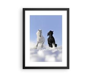 Poster 30x40cm Animali bellezza concorrenza Stampe Immagini Quadri Murale