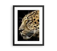Poster 30x40cm Animali leopardo gatto selvatico animali selvatici Stampe Quadri