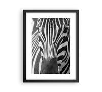 Poster 30x40cm Animali zebra a strisce Stampe Immagini Quadri Moderni Murale