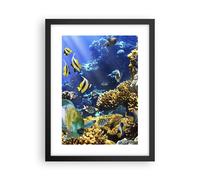 Poster 30x40cm Barriera corallina oceano granchio pesce Stampe Quadri Murale